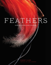 Feathers Displays of Brilliant Plumage