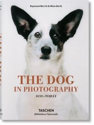 The Dog in Photography 1839-Today