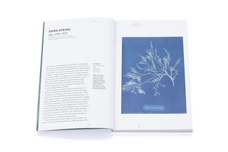 Photography (Art Essentials)