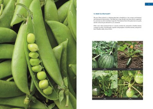 Unelaborated Products : Definition and Classification