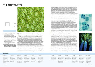 Evolution: the Whole Story