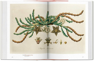 A Garden Eden. Masterpieces of Botanical Illustration. 40th Ed.