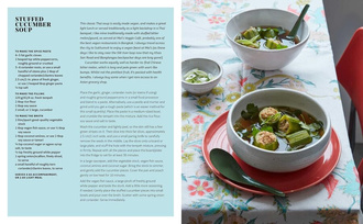 Healthy Vegan Street Food 