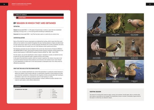 Unelaborated Products : Definition and Classification