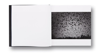 Masahisa Fukase — Ravens