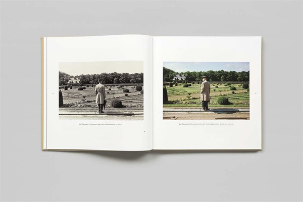 Colin Westerbeck – A Democracy of Imagery