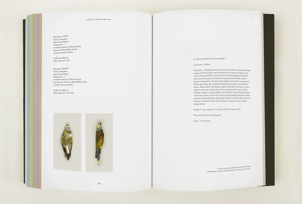 Taryn Simon – Field Guide to Birds of the West Indies