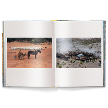 Elliott Erwitt's Kolor