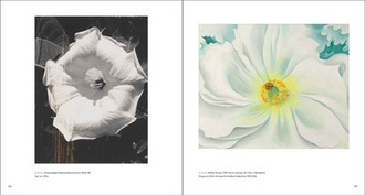 Georgia O'Keeffe, Photographer