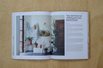 Green : Plants for small spaces, indoors and out