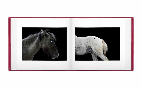 Alessandra Sanguinetti – Le Gendarme Sur La Colline