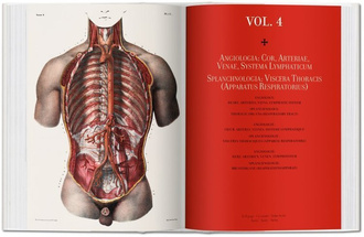 Jean Marc Bourgery. Atlas of Human Anatomy and Surgery
