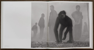 Nick Brandt : The Day May Break - Chapter Two