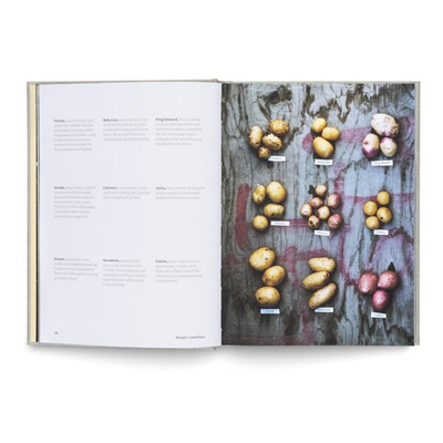 Potato Total : Timeless Recipes for Every Home Cook