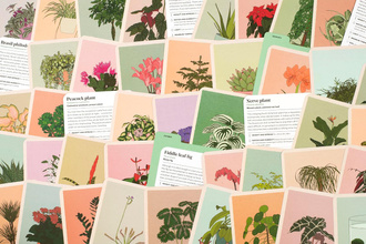 Houseplant Gardener in a Box