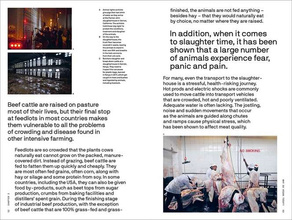 Should We All Be Vegan?