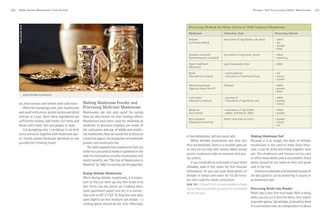 Home-Grown Mushrooms from Scratch