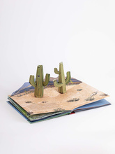 Weather : Pop-up Book