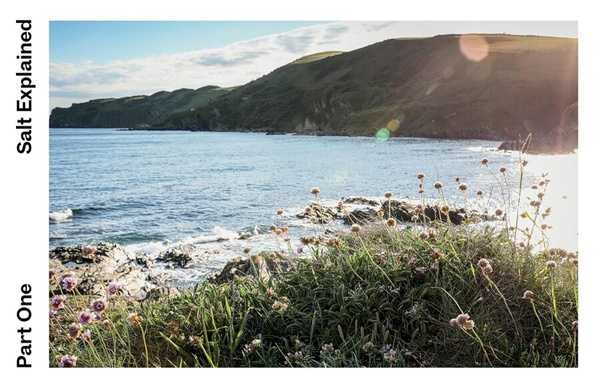 Salt and the Art of Seasoning