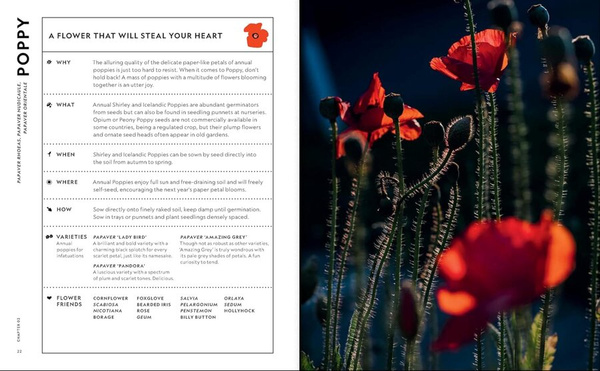 The Super Bloom Handbook