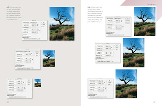 Photography: The New Basics