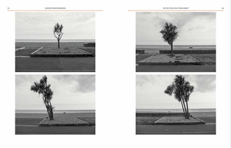 Seaside Photographed