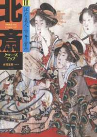 Hokusai Close Up III