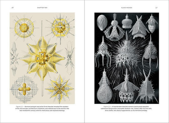 Wild Design : The Architecture of Nature