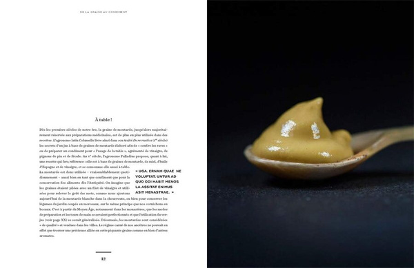 Mustard: A Treasure from Burgundy