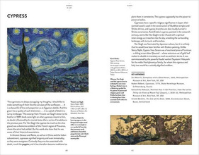 Symbols in Art (Art Essentials)