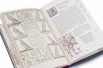 A Shakespeare Motley