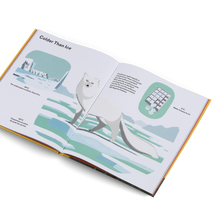 How Big Is Big? How Far Is Far? All Around Me (Metric)