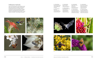 Trees : From Root to Leaf