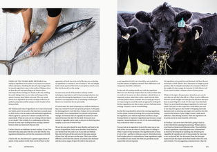 Finding Fire : Cooking at its most elemental