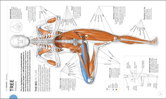 Science of Yoga: Understand the Anatomy and Physio