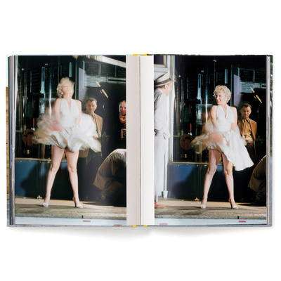 Elliott Erwitt's Kolor