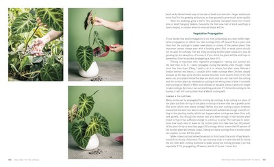 Welcome to the Jungle : Rare Tropical Houseplants to Collect, Grow, and Love