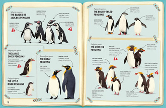 Do Penguins Like the Cold?