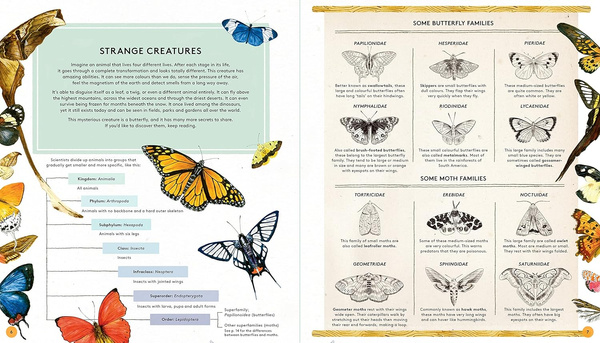 The Secret Life of Butterflies