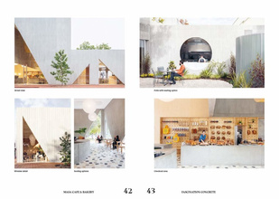 Fascination Concrete