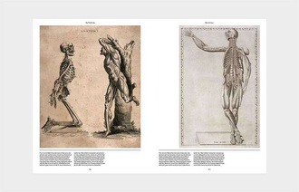 Anatomica : The Exquisite and Unsettling Art of Human Anatomy