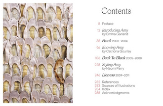 Amy Winehouse: Beyond Black