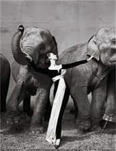 Richard Avedon: Relationships