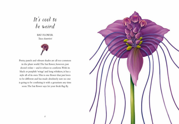 The Wisdom of Flowers