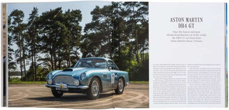 Beautiful Machines : The Era of the Elegant Sports