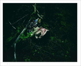 Izima Kaoru – Landscapes with a Corpse