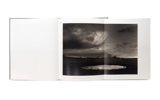 The Stillness of Life