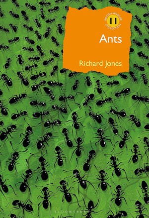 Ants : The ultimate social insects