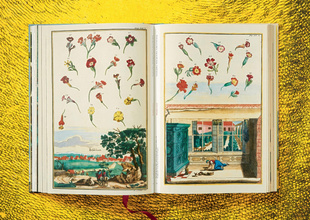 J. C. Volkamer. Citrus Fruits