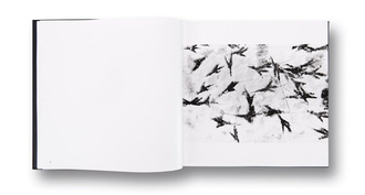 Masahisa Fukase — Ravens